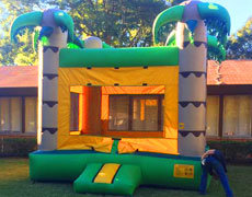 Bounce Houses Bounce Houses